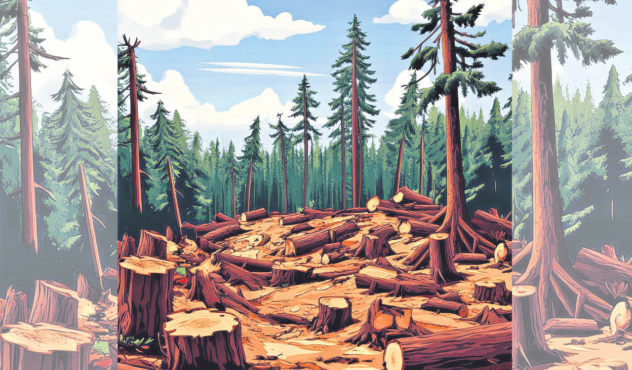 Opinion: Redefine development