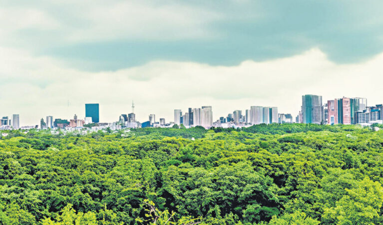 Green Nature