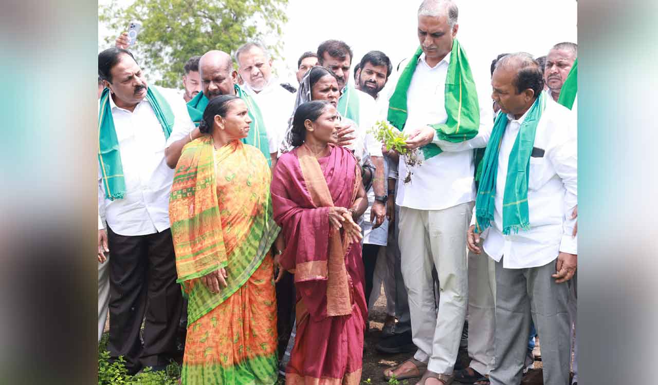 Pharma hub will pollute Manjeera, deprive livelihood of farmers: Harish Rao