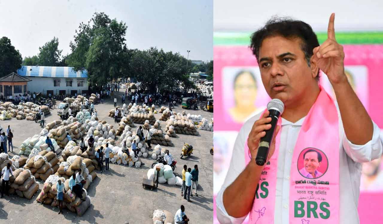 KTR expresses concern over cotton growers’ plight in Telangana