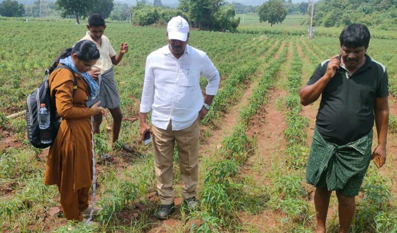 Telangana: Leopard’s pugmarks spotted in Kothagudem