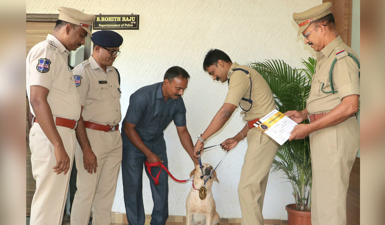 Kothagudem sniffer dog Juno wins gold medal in State level police duty meet