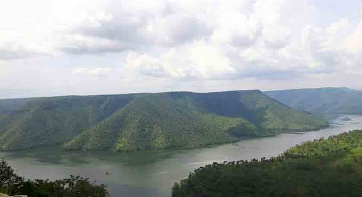 Congress govt pushes for elevated road in Amrabad forest