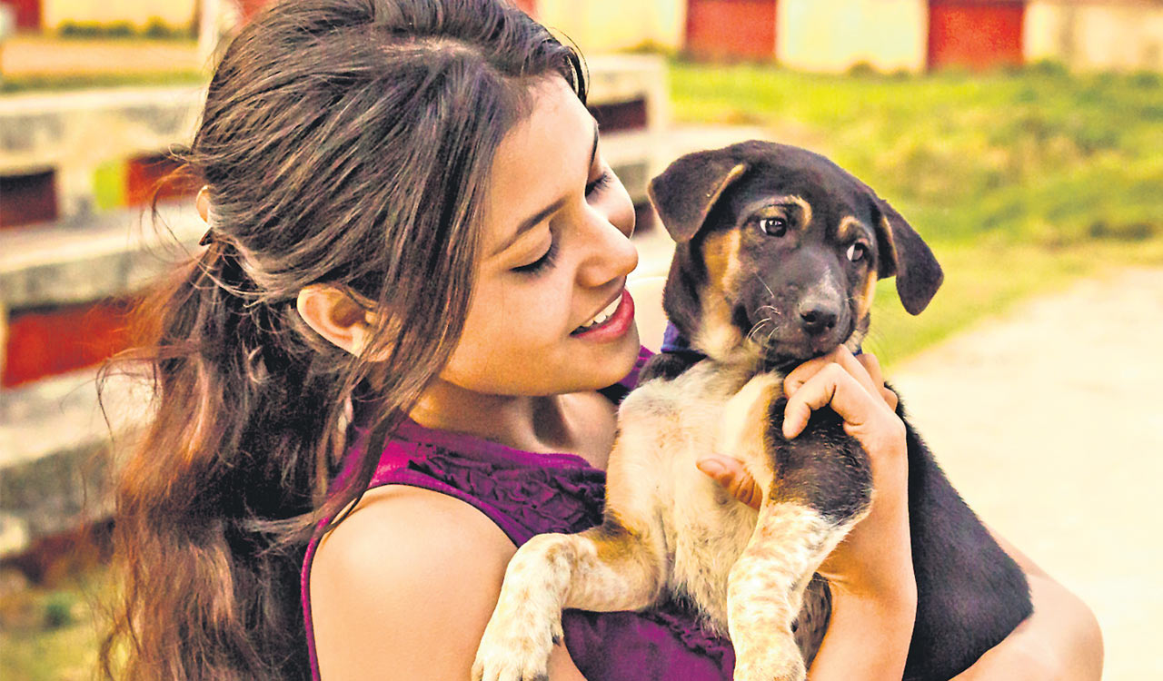 Opinion: Animals as healers