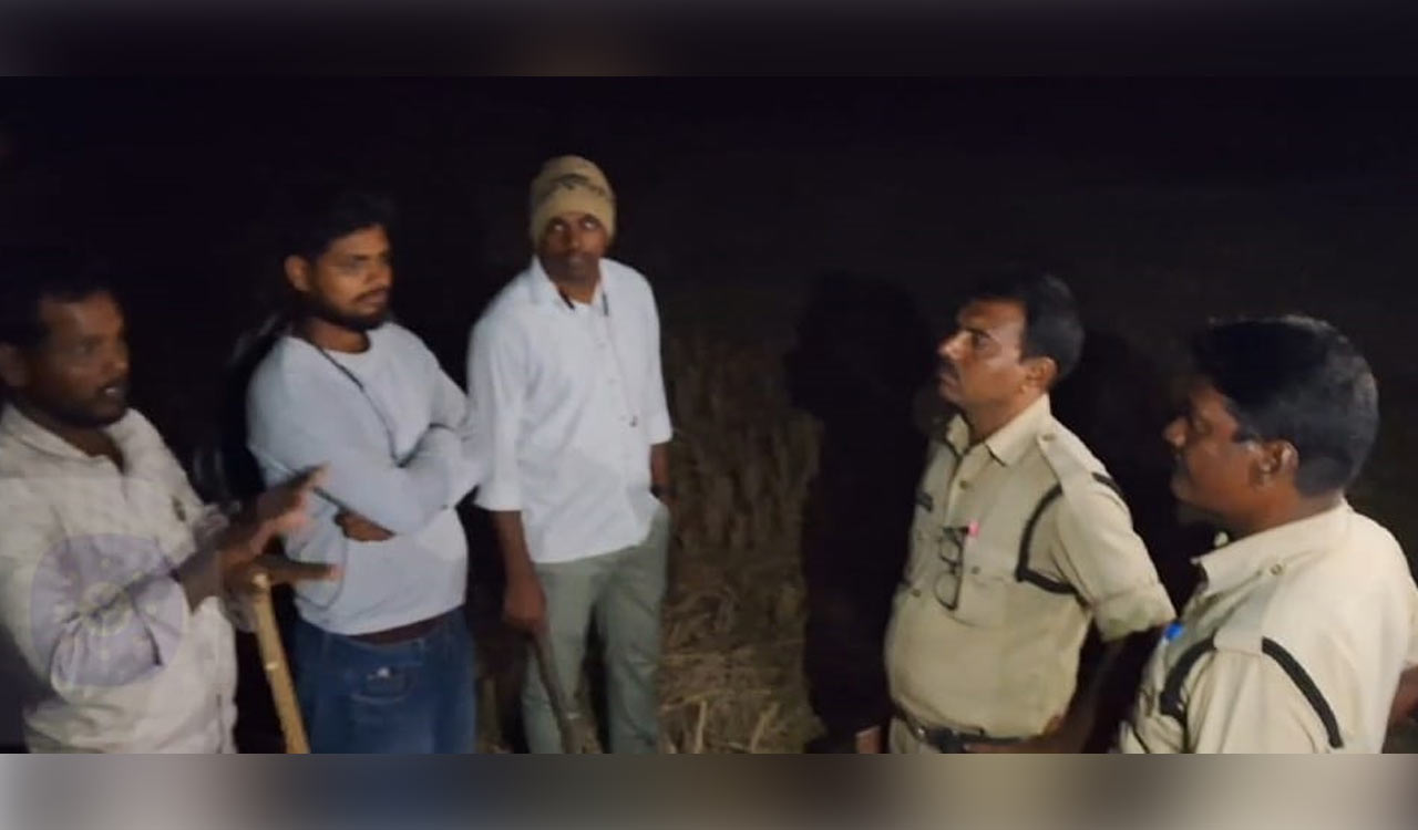 Leopard with two cubs triggers panic in Siddipet’s Burugupally