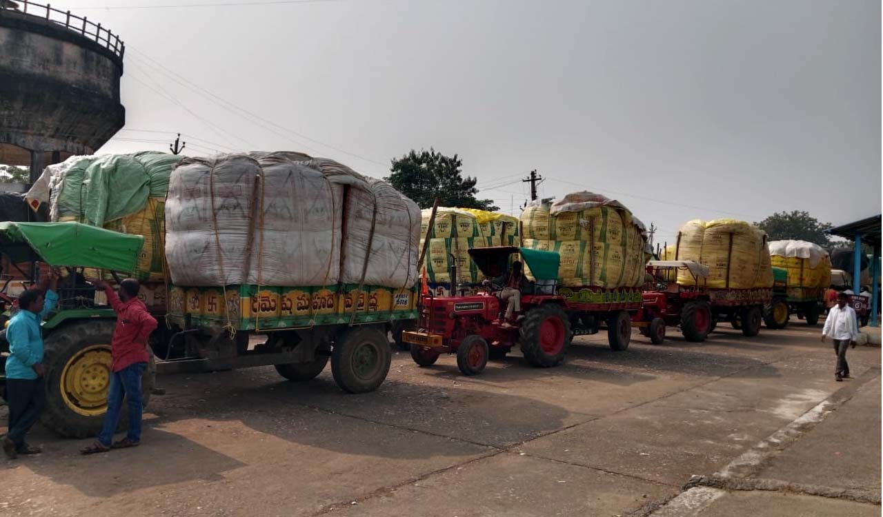 Unauthorised traders fleece cotton farmers in Adilabad
