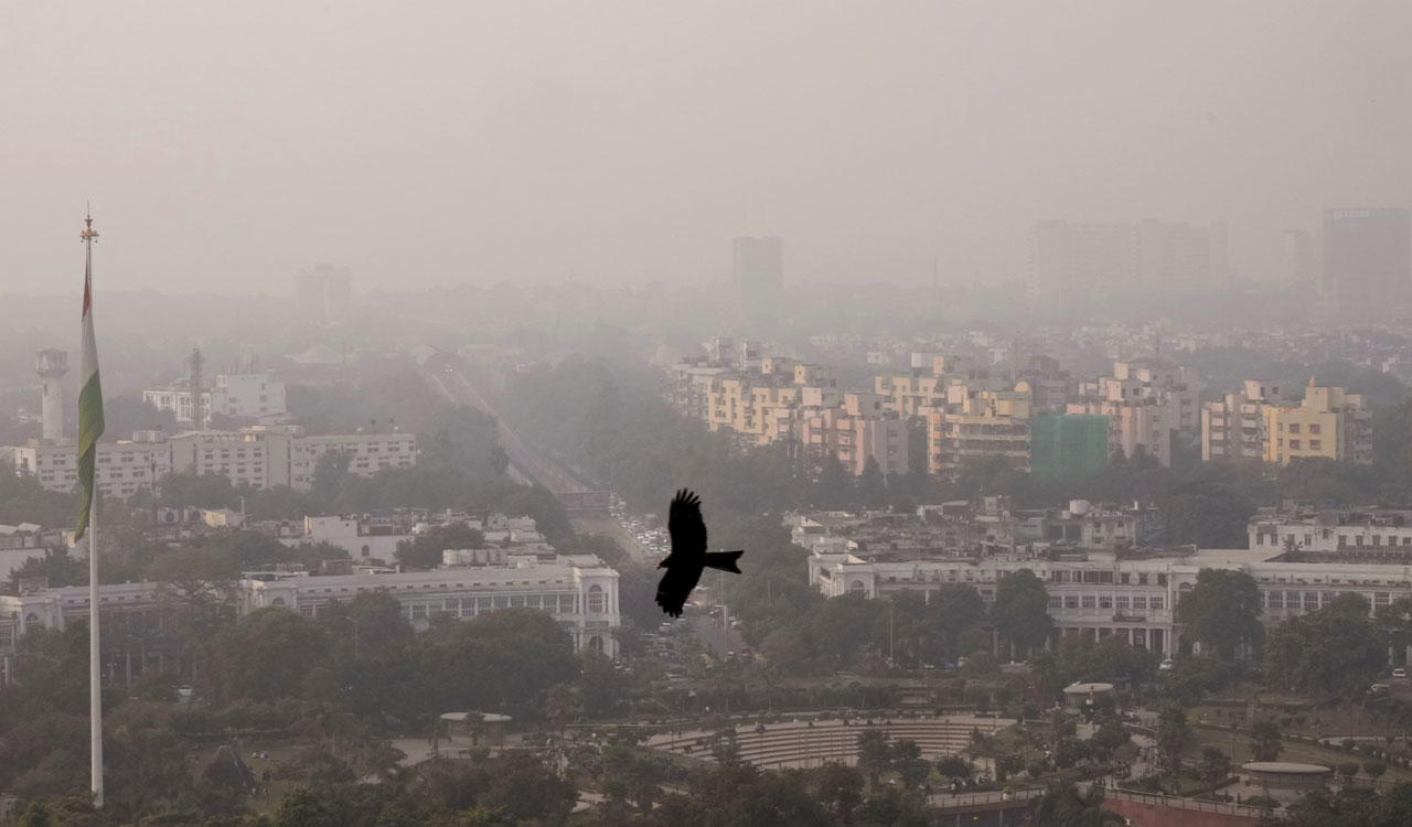 Rising pollution levels in Delhi take a toll on pets, street animals-Telangana Today