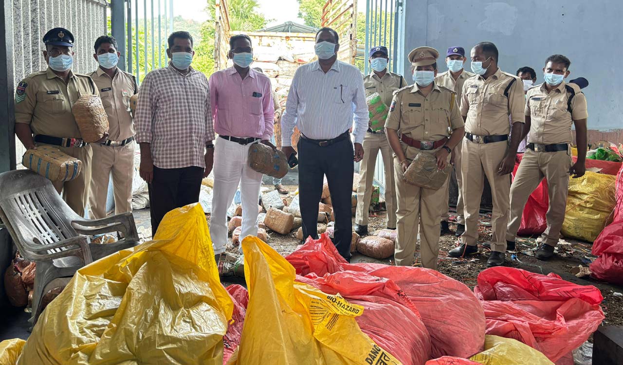Kothagudem: 1186 kg seized ganja burnt