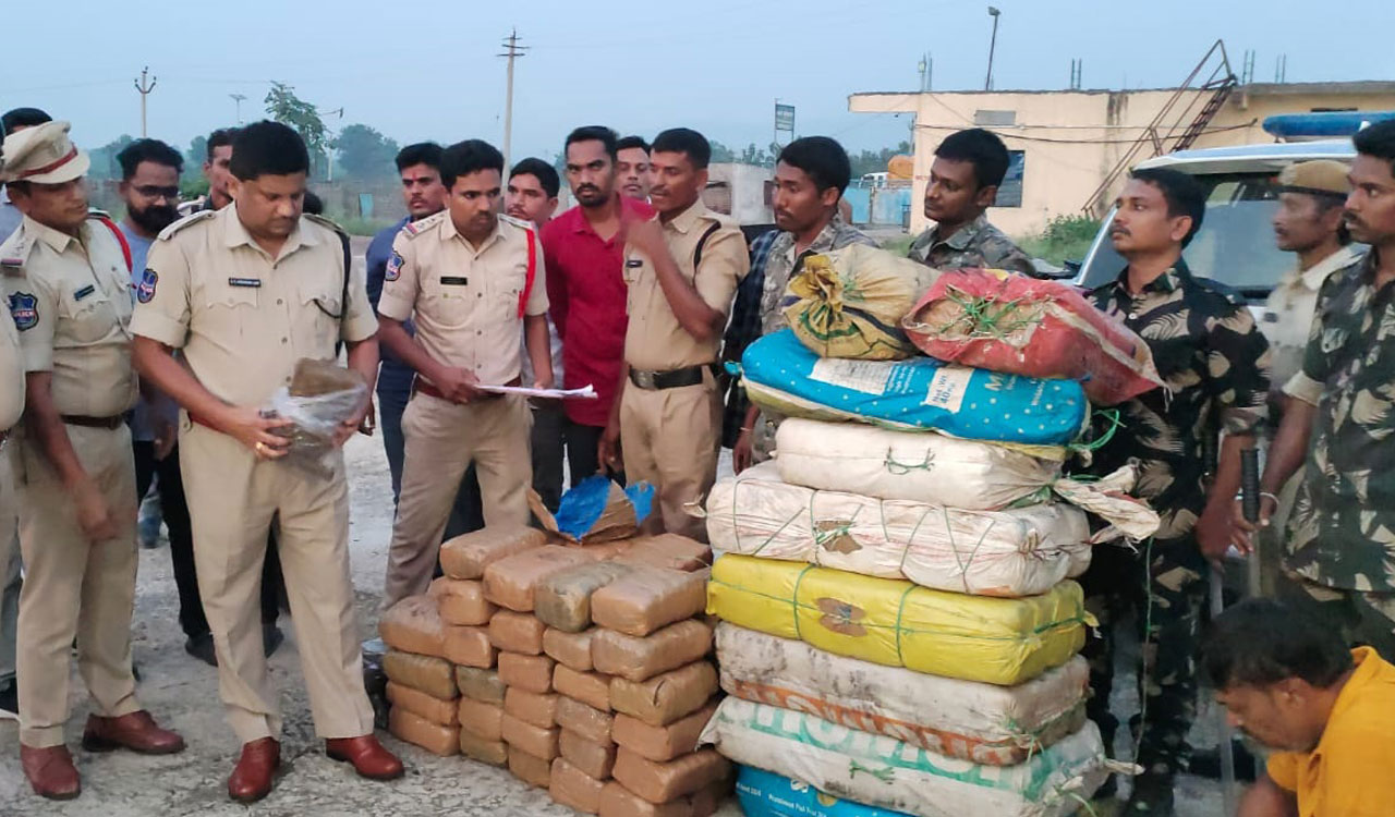 Telangana: Ganja worth Rs 72.50 lakh seized in Asifabad, one arrested