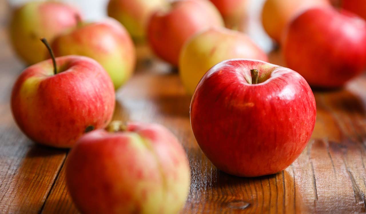 Best time to buy apples in Hyderabad, prices have never been this low