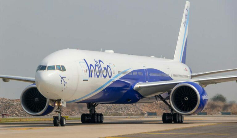 Indigo1