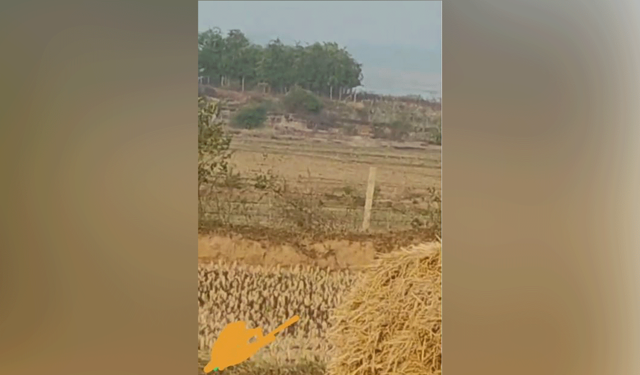 Woman killed by tiger: Cheque of Rs.10 lakh ex gratia given to family