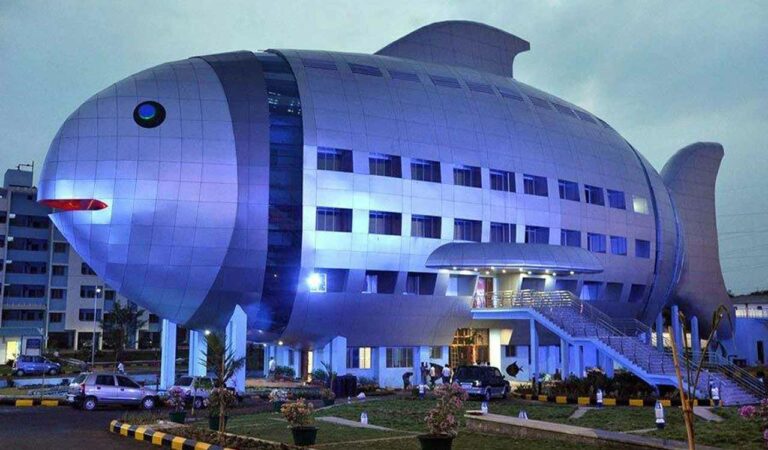 Fish Building