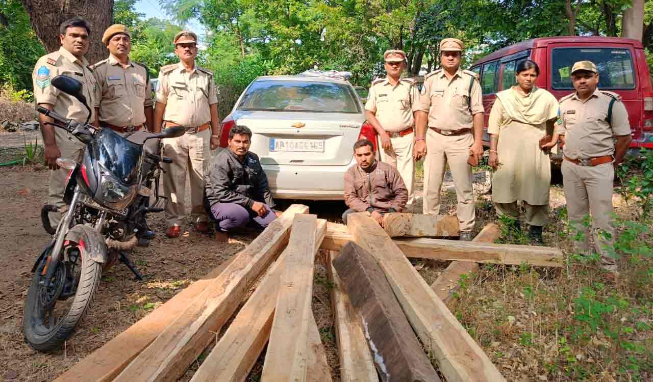 Two arrested for smuggling teak timber in Asifabad