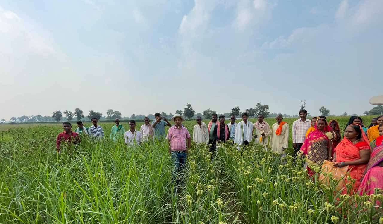ICRISAT, Bihar govt aims to improve millet production in Bihar