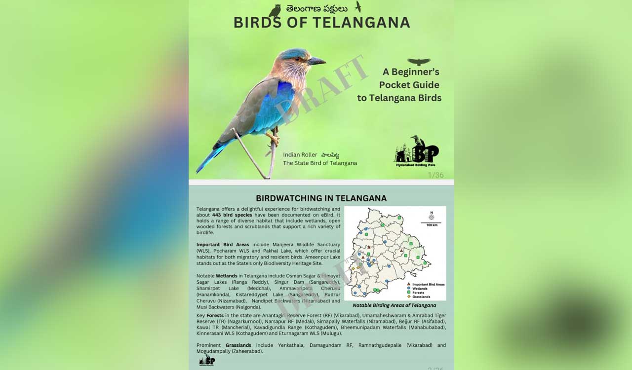 Hyderabad Birding Pals to distribute one lakh pocket guides on birds of Telangana