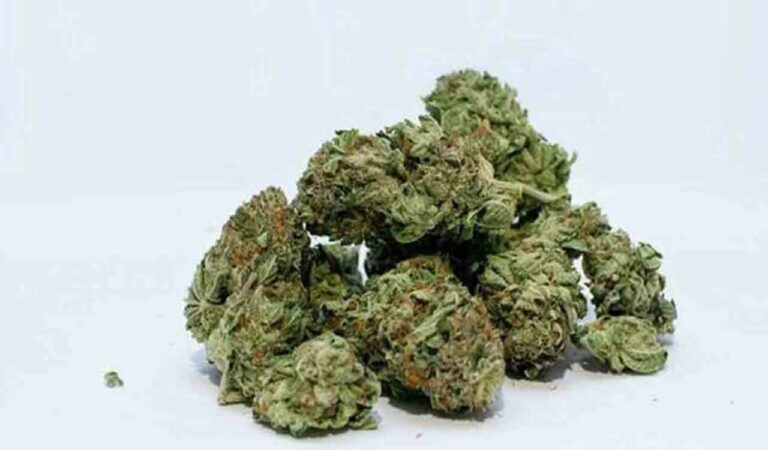 Study shows how weed use may raise cancer risk