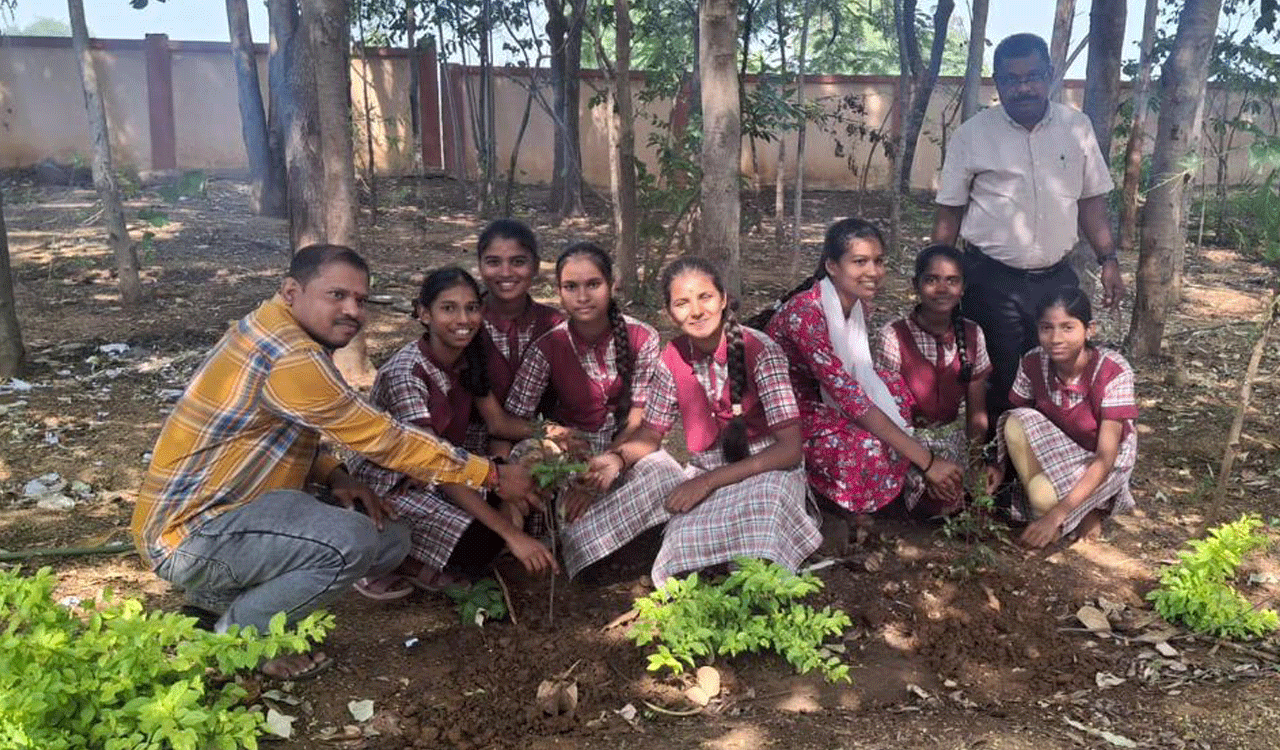Curry leaf, moringa plantation drive in Siddipet schools to tackle iron deficiency