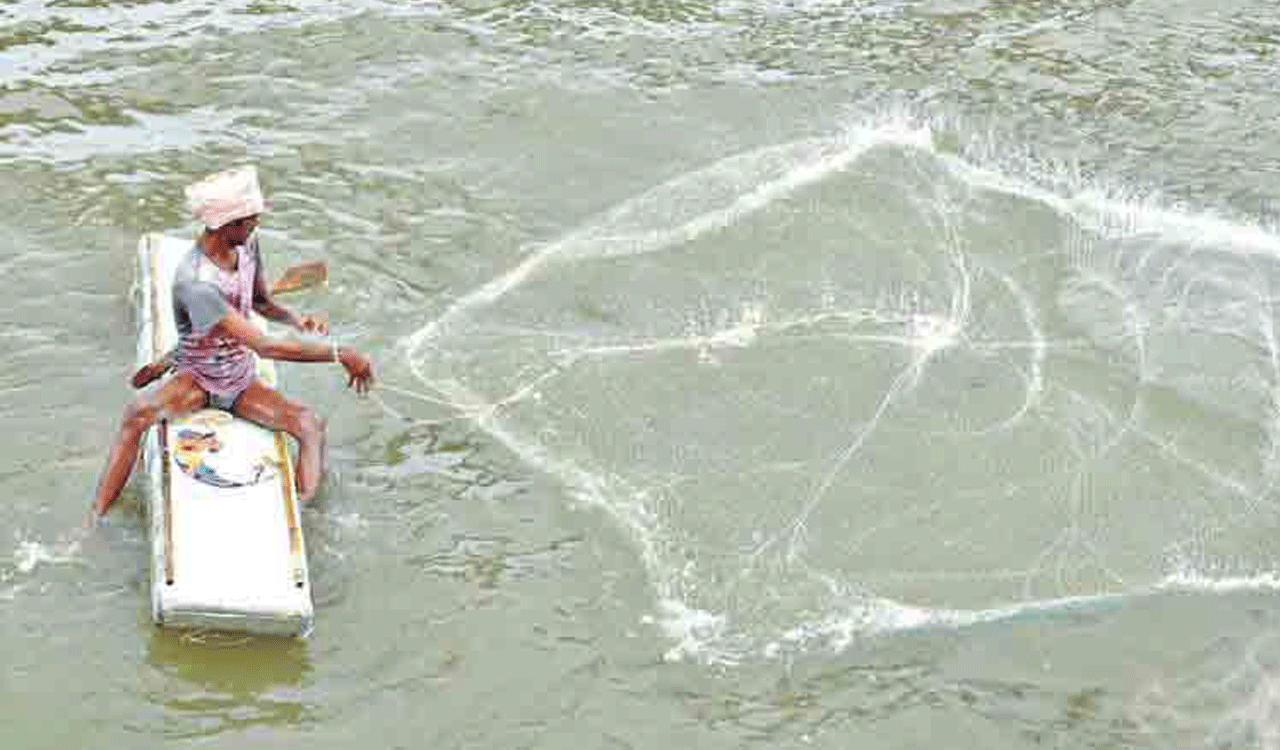 Telangana’s Blue Revolution sets new milestones in inland fisheries