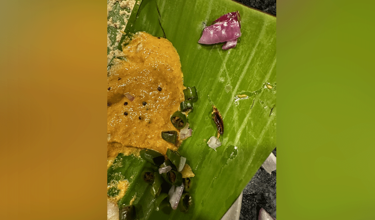 Hyderabad: Customer alleges cockroaches found in food at tiffin center in Kukatpally