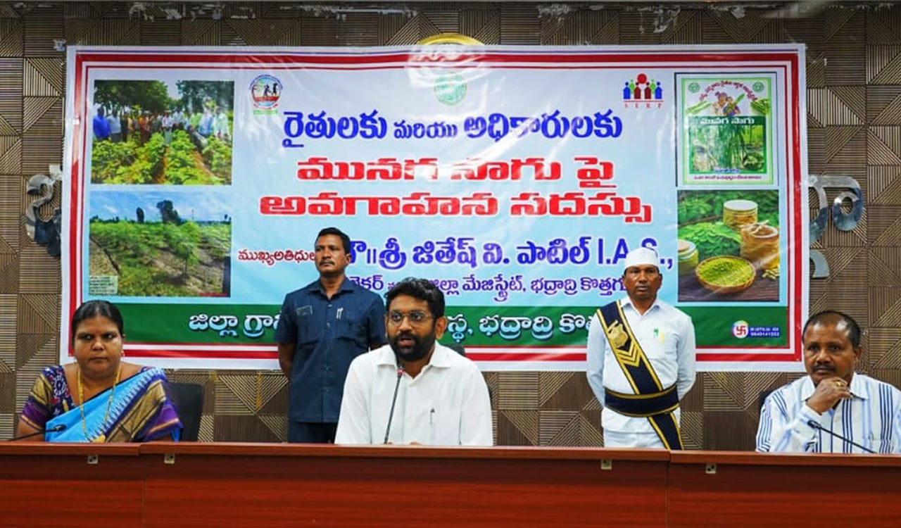 Cultivation of moringa is a boon to farmers: Kothagudem Collector Patil