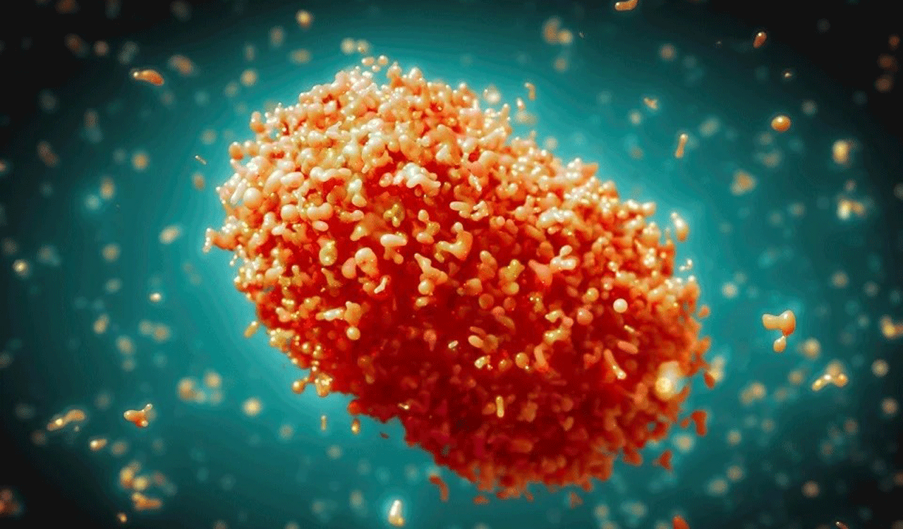 Indian researchers find new method to detect Monkeypox virus