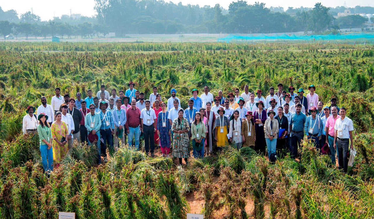 Telangana: ICRISAT hosts third genebank small millets germplasm field day