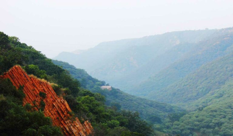 Aravalli Hills