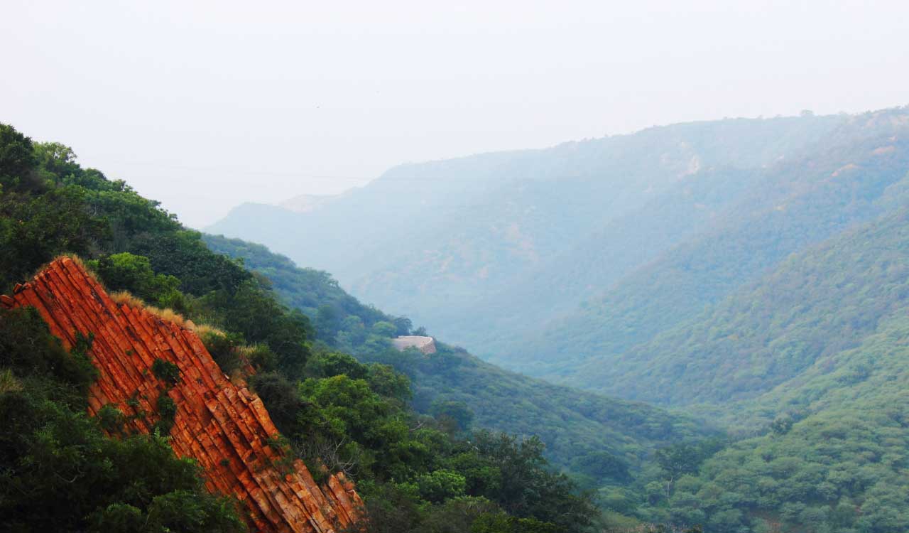 Editorial: Of human greed and vanishing mountains