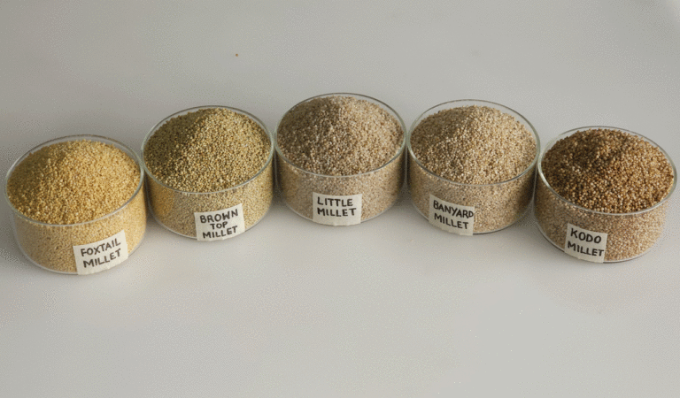 Add these 5 nutritious millets to your diet for better health