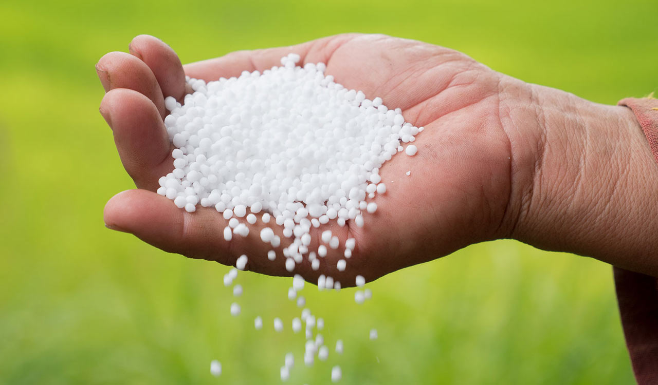 Amid global supply chain disruptions and rising DAP demand, can Telangana be an exception?