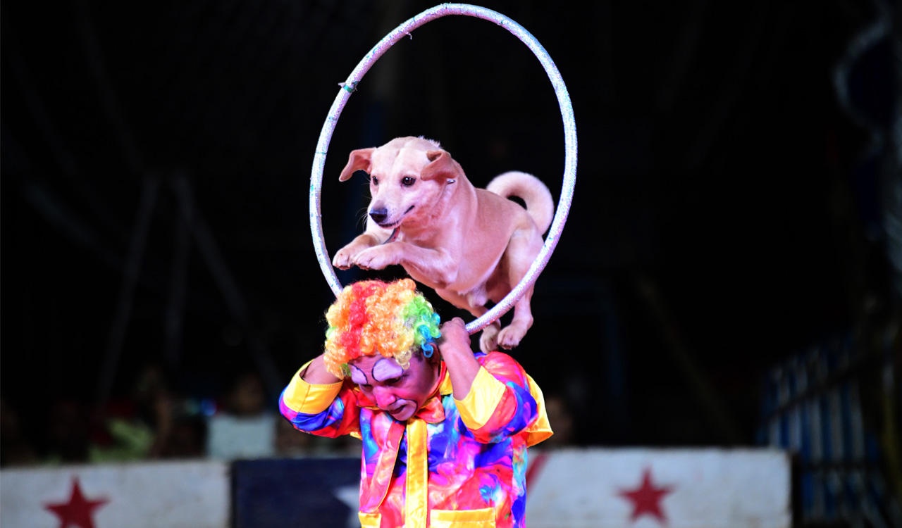 Behind the spotlight: Life behind the acts at Bombay Circus