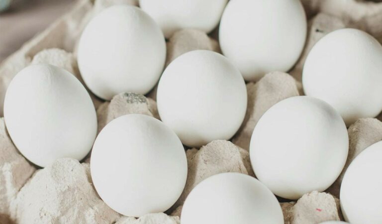 Egg Prices
