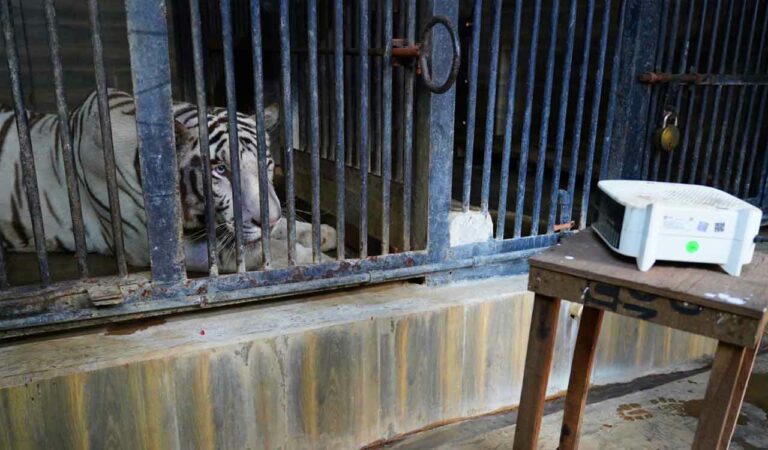 Hyderabad Zoo