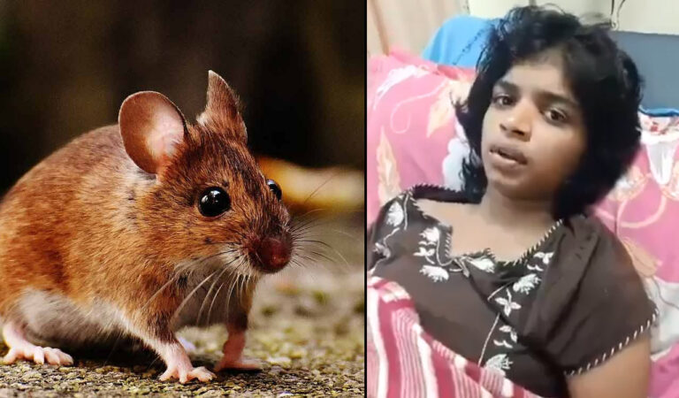 Khammam Rat Bite