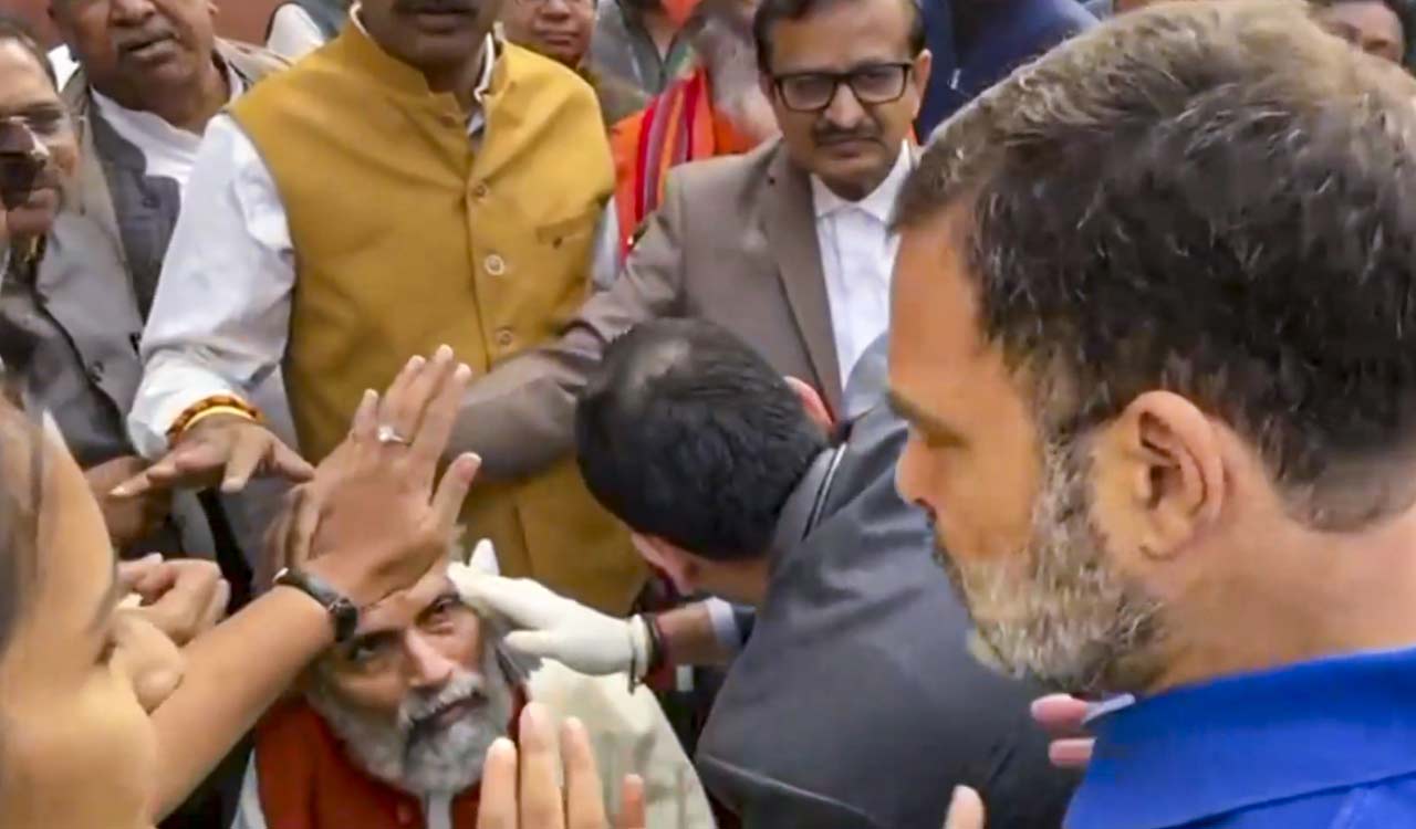 Opposition, BJP MPs jostle in Parliament premises; BJP claims Rahul pushed aged MP