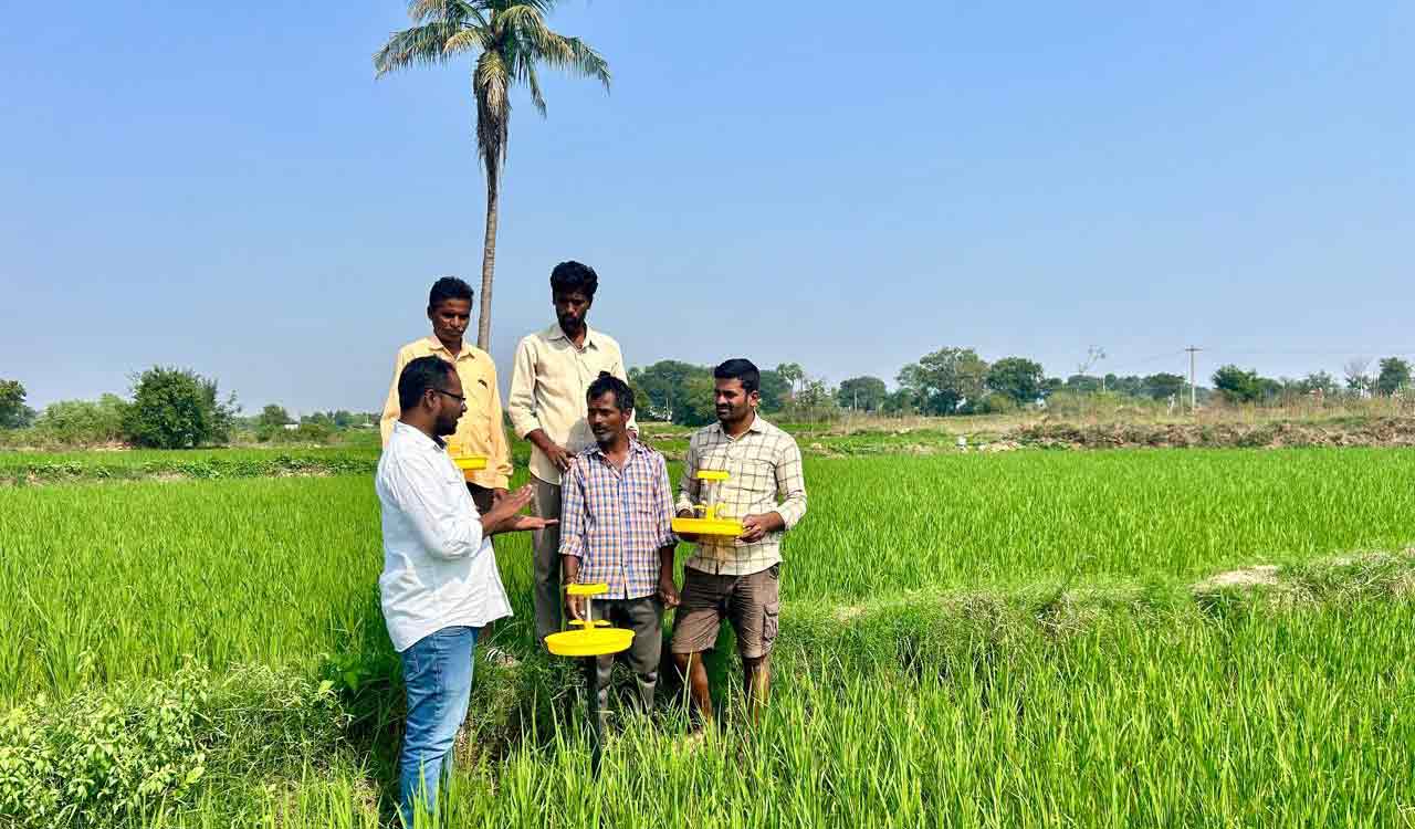Revolutionary solar-powered light traps saving Siddipet farmers from pesticide use