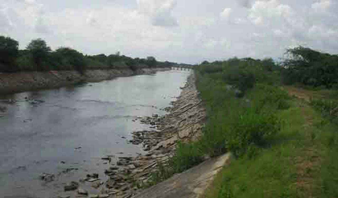 Yasangi at stake for second consecutive year in 4 lakh acres under SRSP stage-II