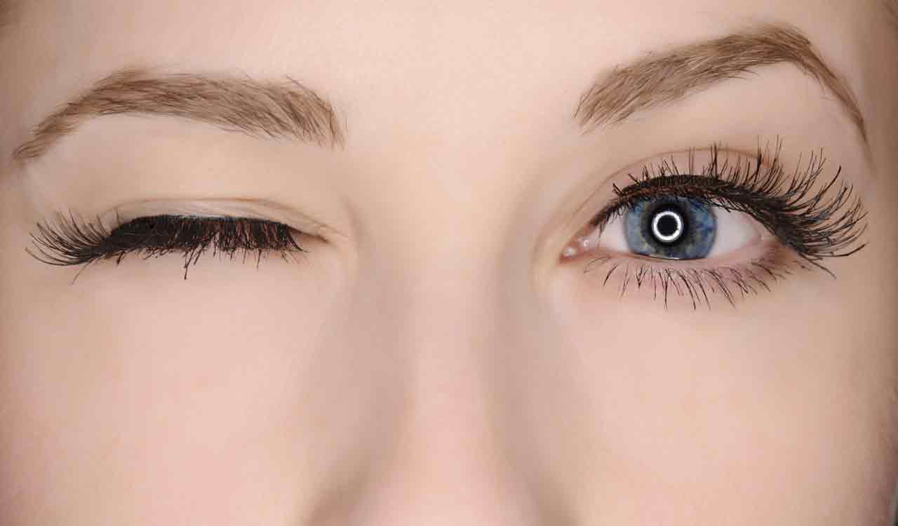 Eyelashes keep vision clear by repelling water