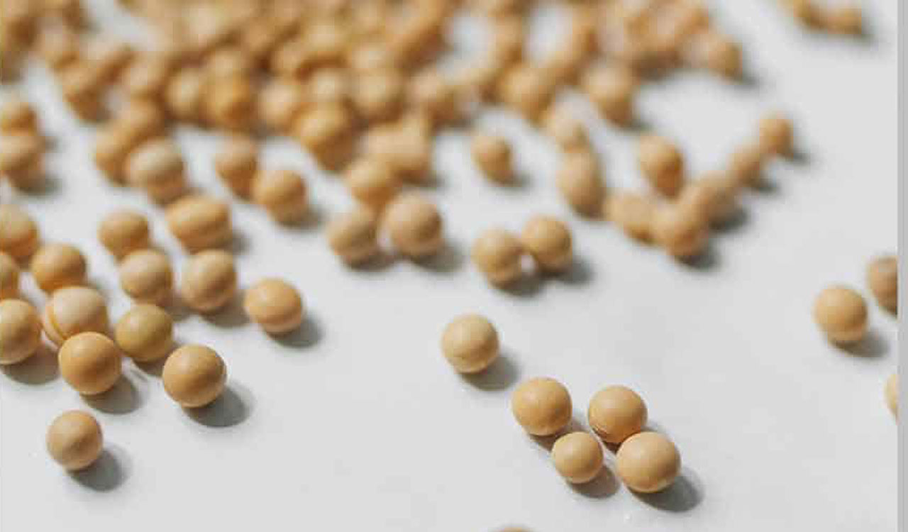Telangana government orders additional soybean procurement