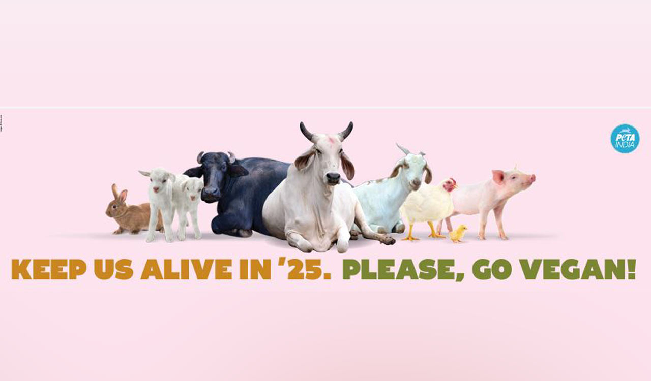 PETA India billboard at Jubilee Hills urges people to turn VEGAN