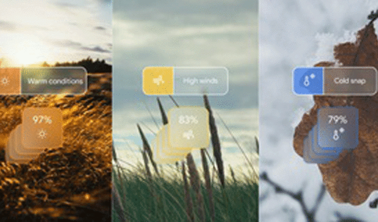 Google's new AI model outperforms world's best weather forecast system