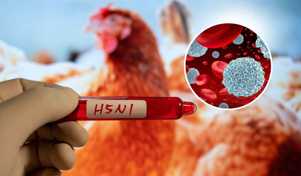 First human bird flu death in US reported 