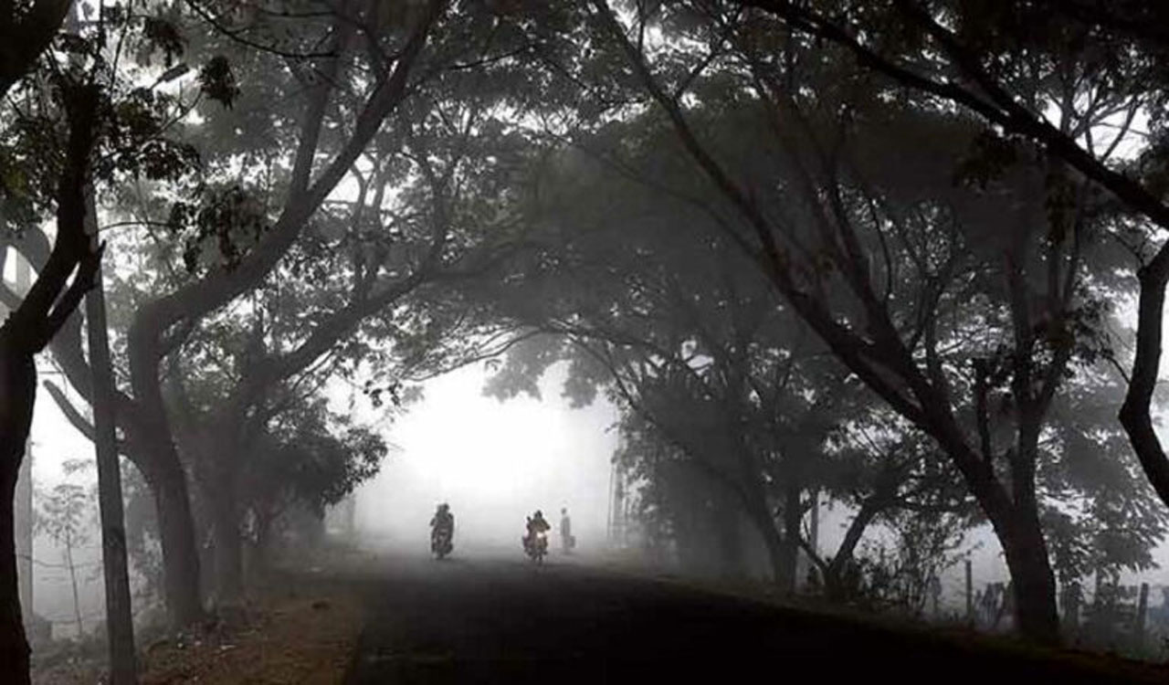 Cold wave in Telangana to last 3 more days with temperatures dropping 2 to 4 degrees Celsius below normal