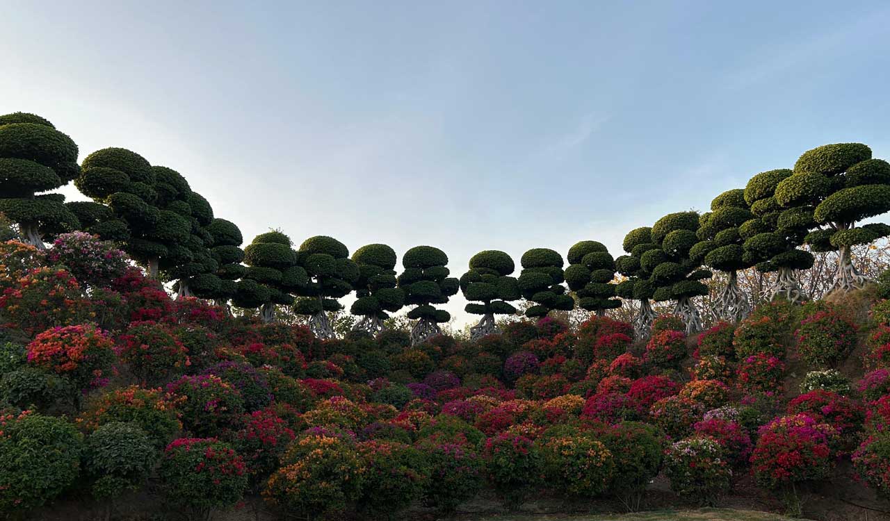 Experium Park at Proddutur village, a picturesque venue to blend with nature