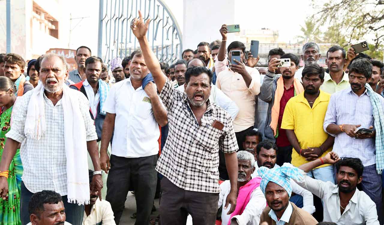 Groundnut prices crash making farmers in Telangana restive