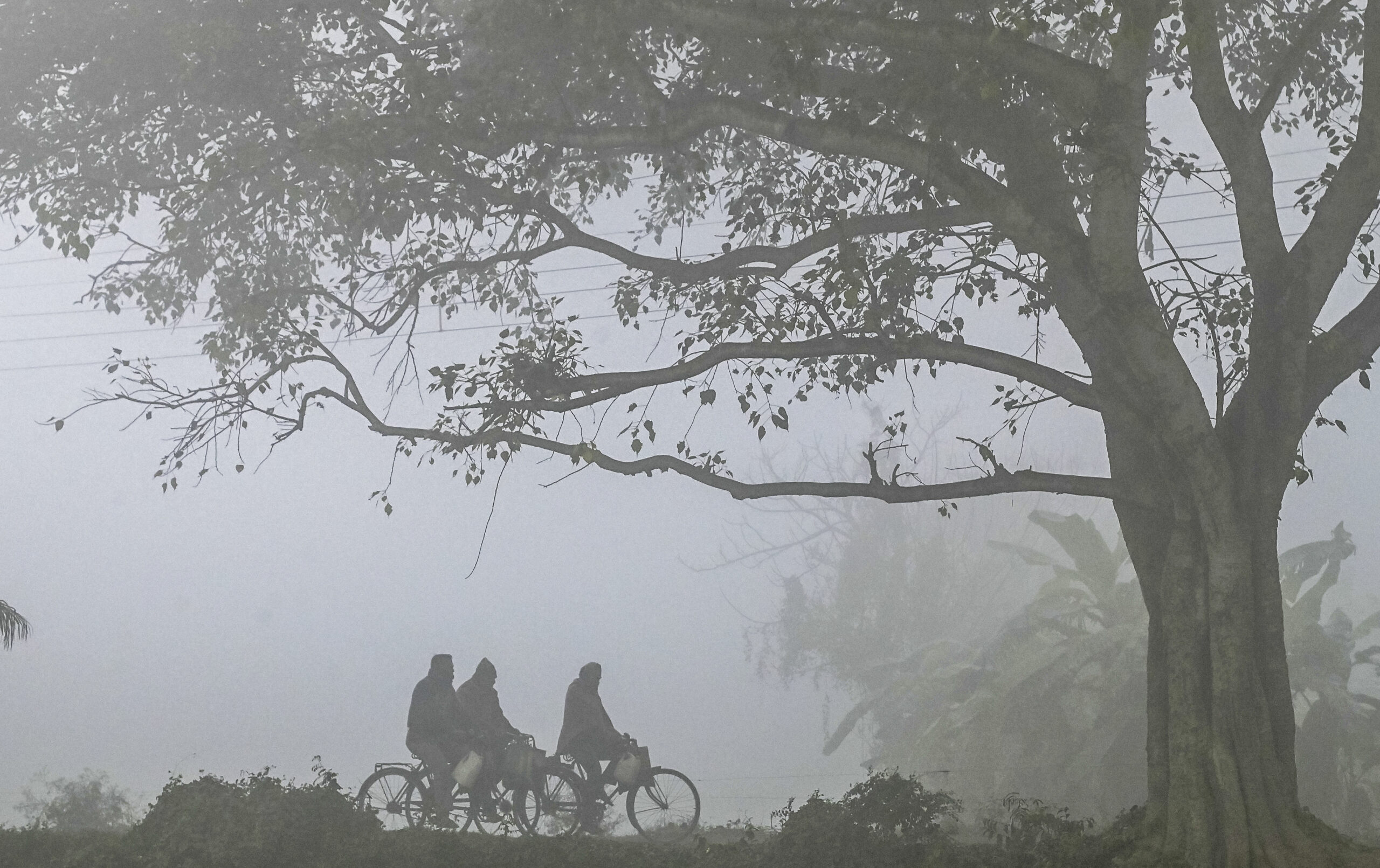 Fog hits flight operations at Srinagar airport