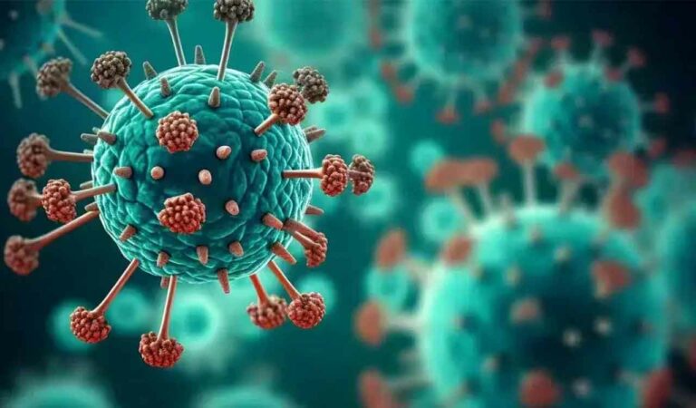 Hmpv Virus