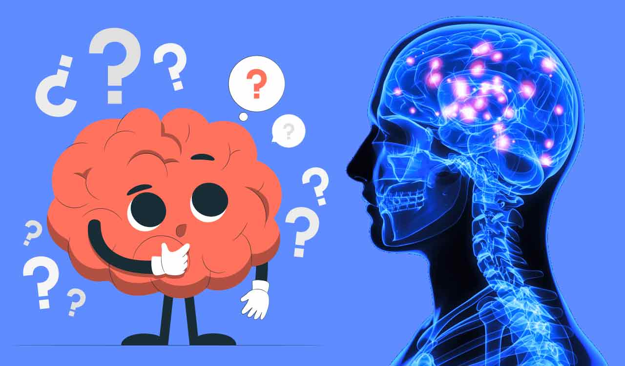 We are slow-thinkers!