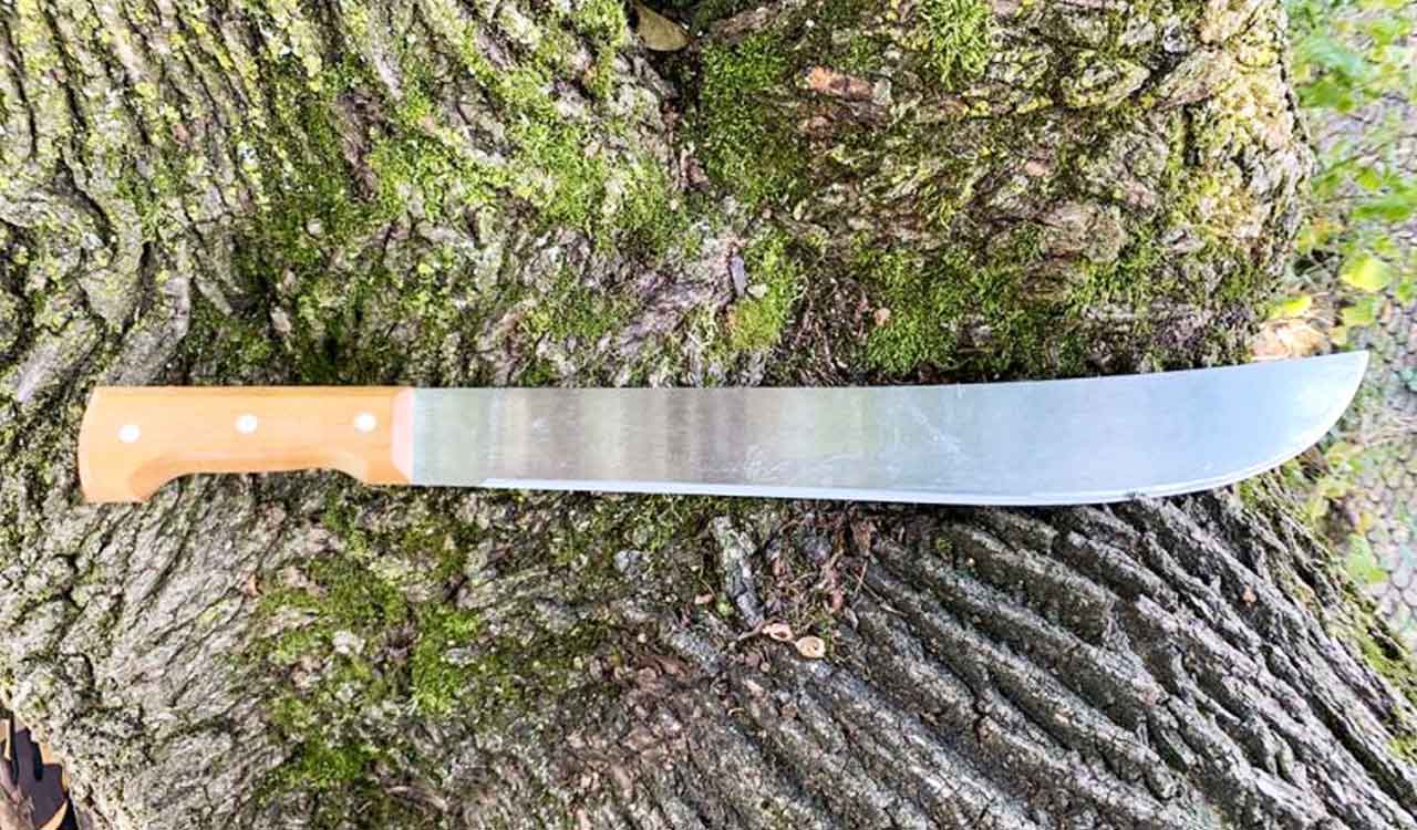 Pune: Engineer’s palm severed, another man injured in machete attack